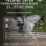 Trainingsturnier am 21.02-22.02.2026