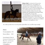 Dressurlehrgang 02.05-03.05.2025